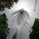 Photo credit: Max Becherer/AP